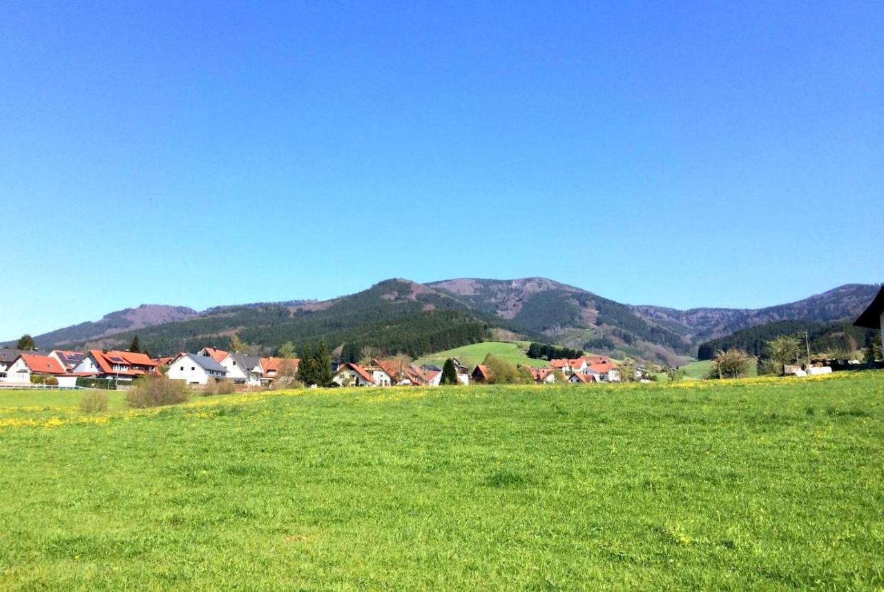 Gemuetliches Haus Im Herzen Des Schwarzwaldes Fuer Bis Zu 9 Personen 엘자흐 외부 사진