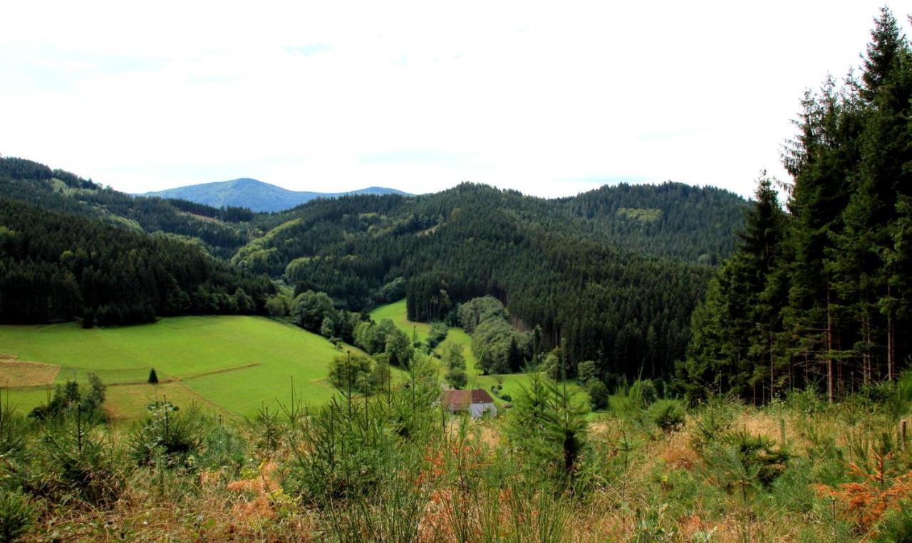 Gemuetliches Haus Im Herzen Des Schwarzwaldes Fuer Bis Zu 9 Personen 엘자흐 외부 사진