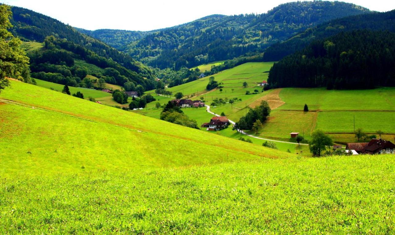 Gemuetliches Haus Im Herzen Des Schwarzwaldes Fuer Bis Zu 9 Personen 엘자흐 외부 사진